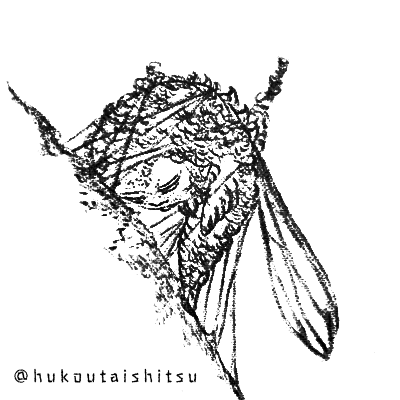 さなちゃん