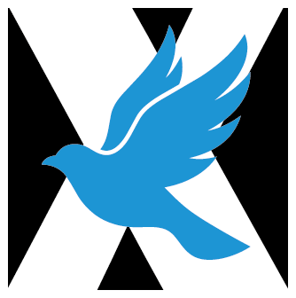 X